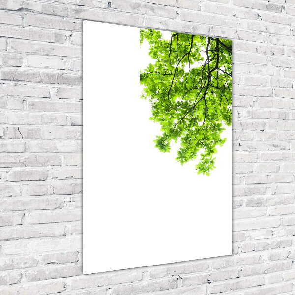 Acrylbild vertikal Baumkrone