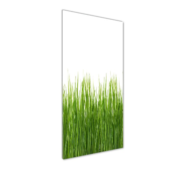 Bild auf Acrylglas vertikal Grünes Gras