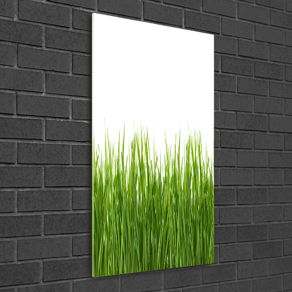 Bild auf Acrylglas vertikal Grünes Gras