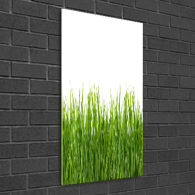 Bild auf Acrylglas vertikal Grünes Gras