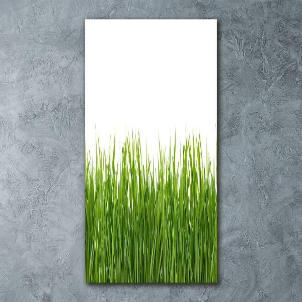 Bild auf Acrylglas vertikal Grünes Gras
