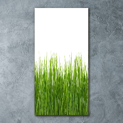 Bild auf Acrylglas vertikal Grünes Gras