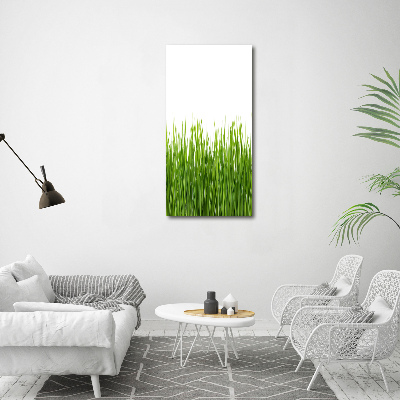 Bild auf Acrylglas vertikal Grünes Gras