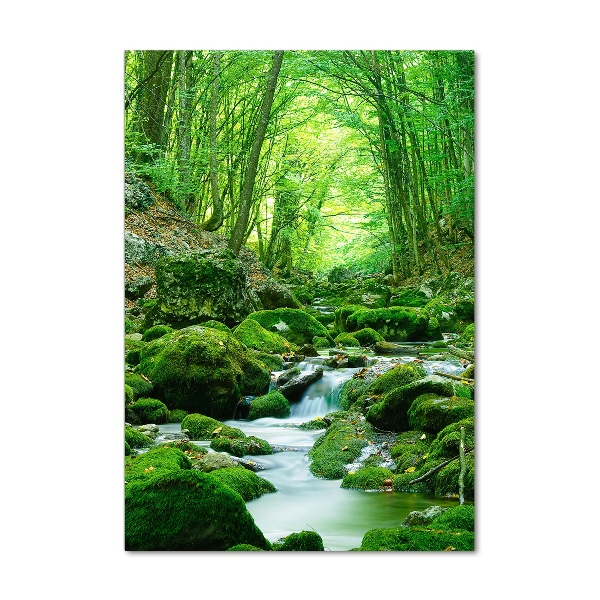 Plexiglasbilder vertikal Ein Bach im Dschungel