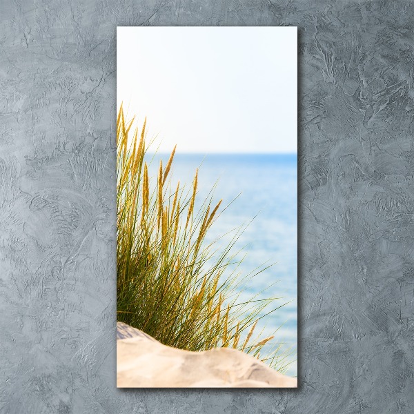 Acrylbild vertikal Küstendünen