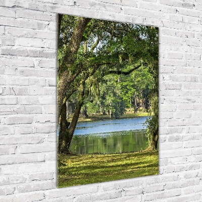 Bild auf Acrylglas vertikal See im Park