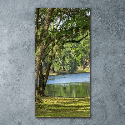 Bild auf Acrylglas vertikal See im Park