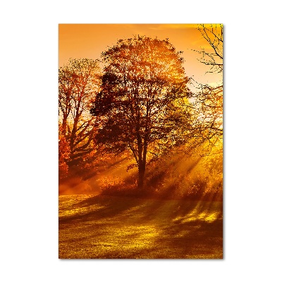 Plexiglasbilder vertikal Park im Herbst