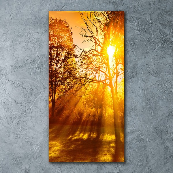 Plexiglasbilder vertikal Park im Herbst