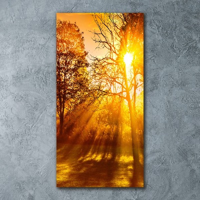 Plexiglasbilder vertikal Park im Herbst