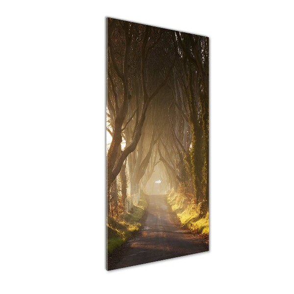 Modernes Acrylbild vertikal Pfad im Wald