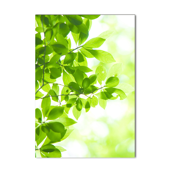 Bild auf Acrylglas vertikal Grüne Blätter