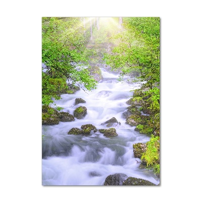 Acrylbild vertikal Gebirgsbach