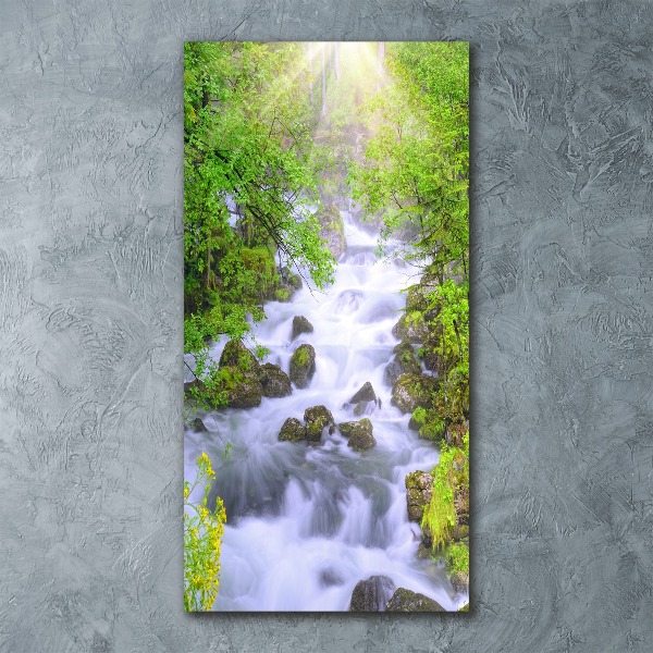 Acrylbild vertikal Gebirgsbach