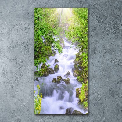 Acrylbild vertikal Gebirgsbach