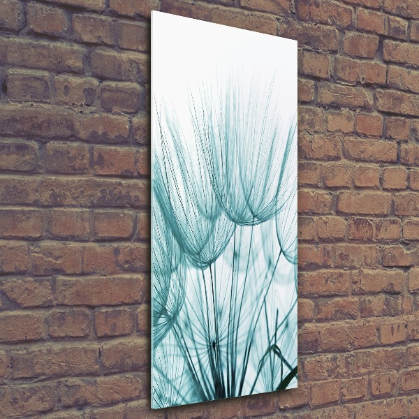 Plexiglasbilder vertikal Löwenzahnsamen