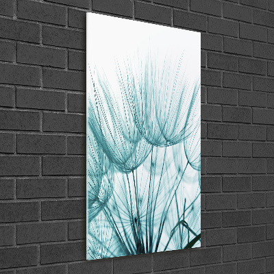 Plexiglasbilder vertikal Löwenzahnsamen