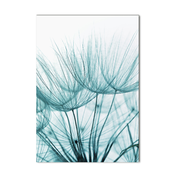 Plexiglasbilder vertikal Löwenzahnsamen