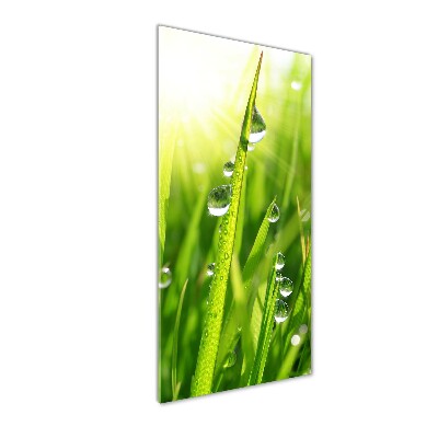 Acrylbild vertikal Grashalme