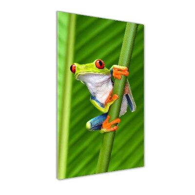 Plexiglasbilder vertikal Europäischer Laubfrosch