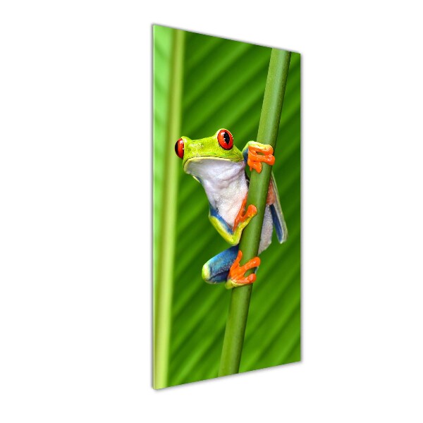 Plexiglasbilder vertikal Europäischer Laubfrosch