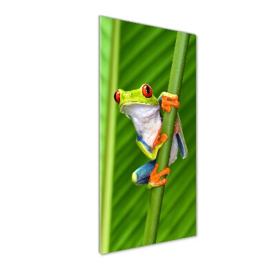 Plexiglasbilder vertikal Europäischer Laubfrosch