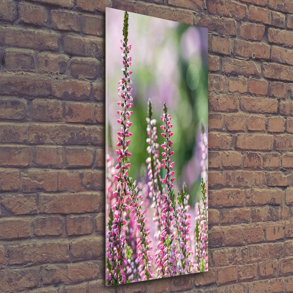 Bild auf Acrylglas vertikal Heidekraut