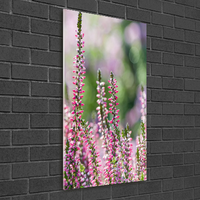 Bild auf Acrylglas vertikal Heidekraut