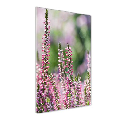 Bild auf Acrylglas vertikal Heidekraut