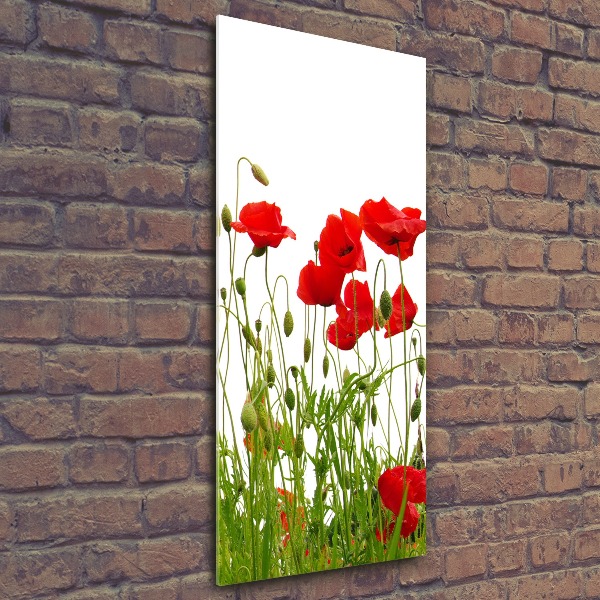 Acrylbild vertikal Wildmohn