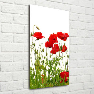 Acrylbild vertikal Wildmohn