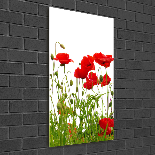 Acrylbild vertikal Wildmohn