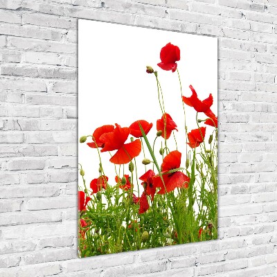 Acrylbild vertikal Wildmohn