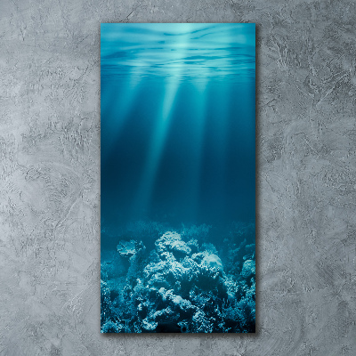 Acrylbild vertikal Unterwasserwelt