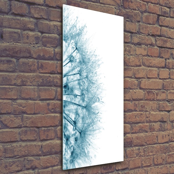 Bild auf Acrylglas vertikal Löwenzahnsamen