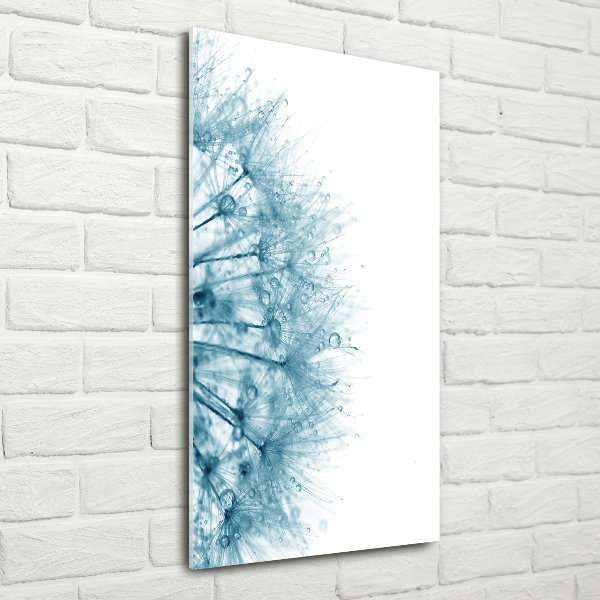 Bild auf Acrylglas vertikal Löwenzahnsamen