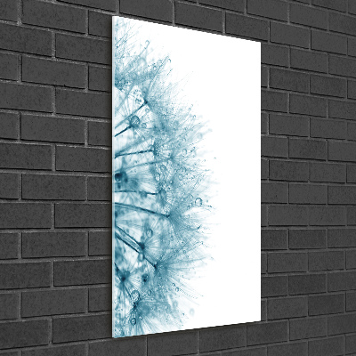 Bild auf Acrylglas vertikal Löwenzahnsamen