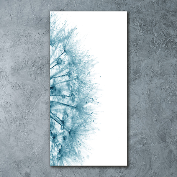 Bild auf Acrylglas vertikal Löwenzahnsamen