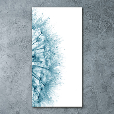 Bild auf Acrylglas vertikal Löwenzahnsamen