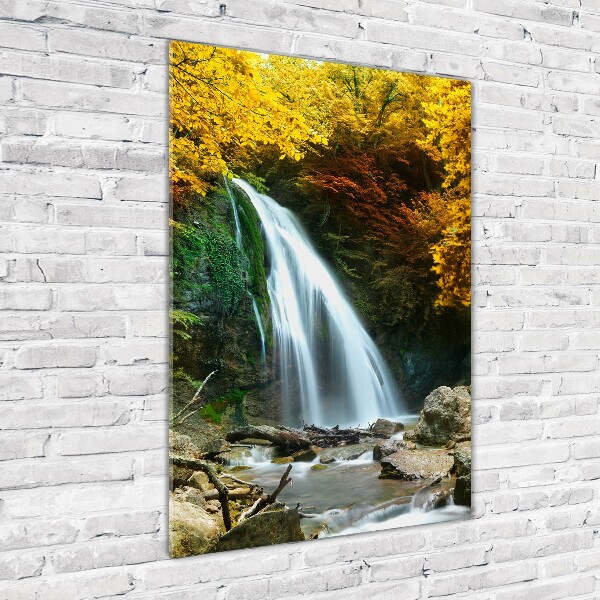 Plexiglasbilder vertikal Wasserfall im Wald