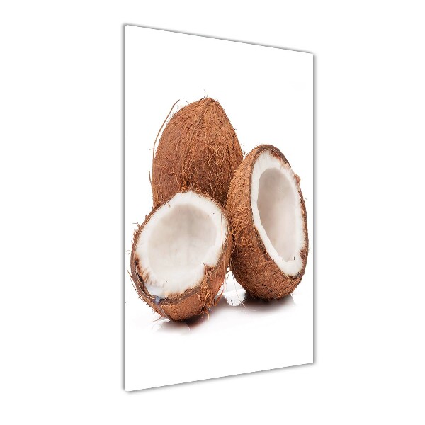 Plexiglasbilder vertikal Kokosnuss