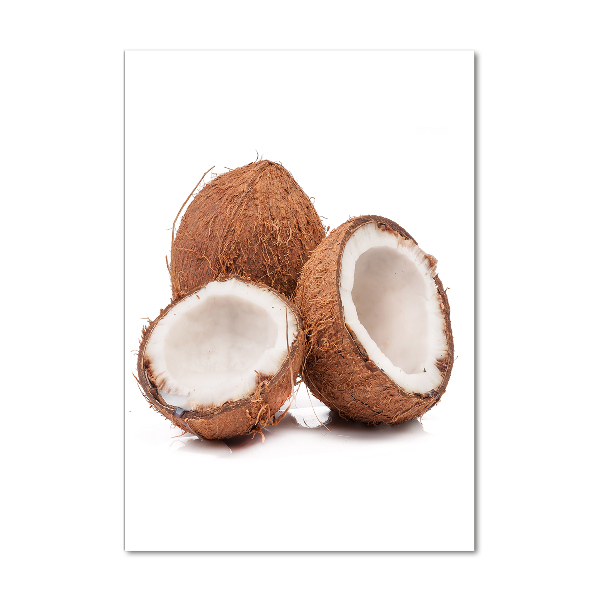 Plexiglasbilder vertikal Kokosnuss