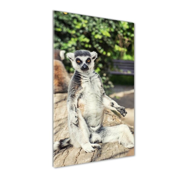 Modernes Acrylbild vertikal Lemur