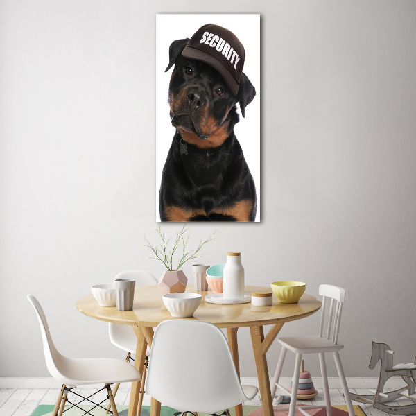 Bild auf Acrylglas vertikal Rottweiler mit Mütze