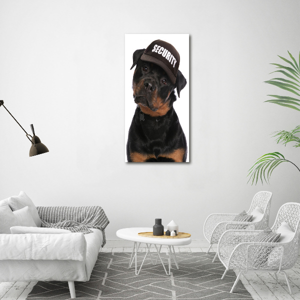 Bild auf Acrylglas vertikal Rottweiler mit Mütze