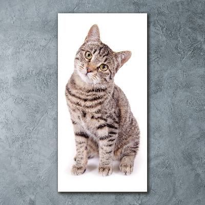 Plexiglasbilder vertikal Katze