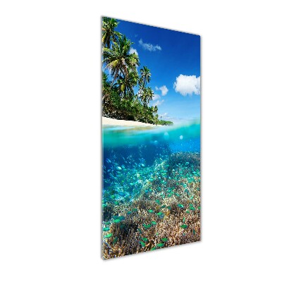 Plexiglasbilder vertikal Korallenriff