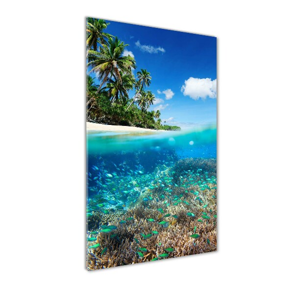 Plexiglasbilder vertikal Korallenriff