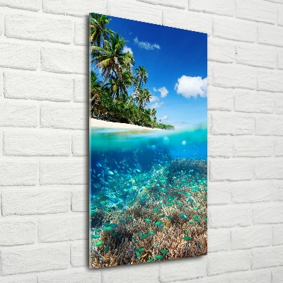 Plexiglasbilder vertikal Korallenriff