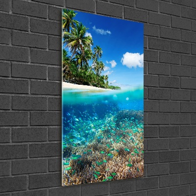 Plexiglasbilder vertikal Korallenriff